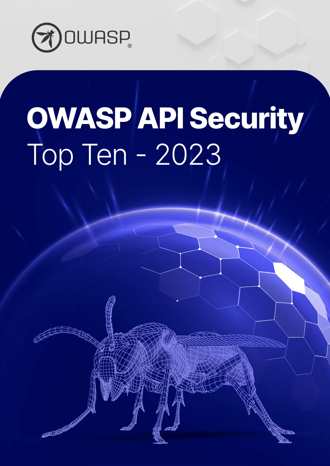 OWASP LOGO