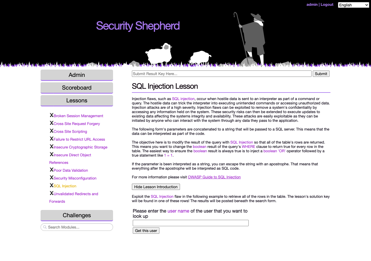 The SQL Injection lesson: an explanation of the vulnerability and a form to try it on