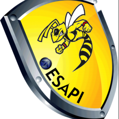 ESAPI logo