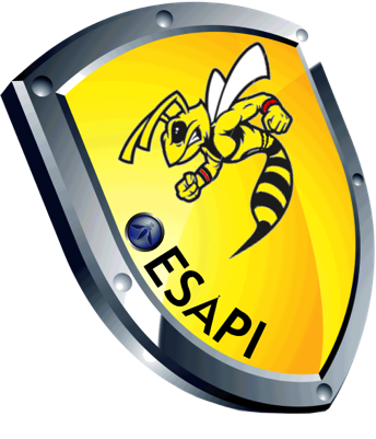 ESAPI Logo
