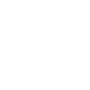 CredShields Logo