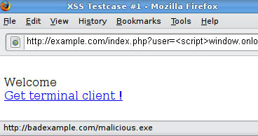 Reflected XSS Flaw: Underestimated Web Application Vulnerability