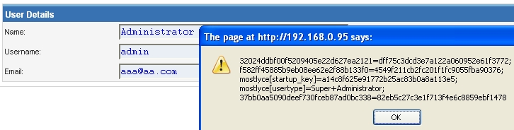 Stored XSS Exxample