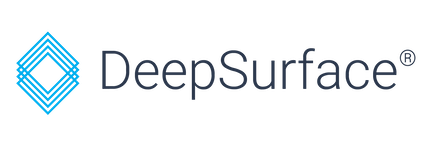DeepSurface Security Logo